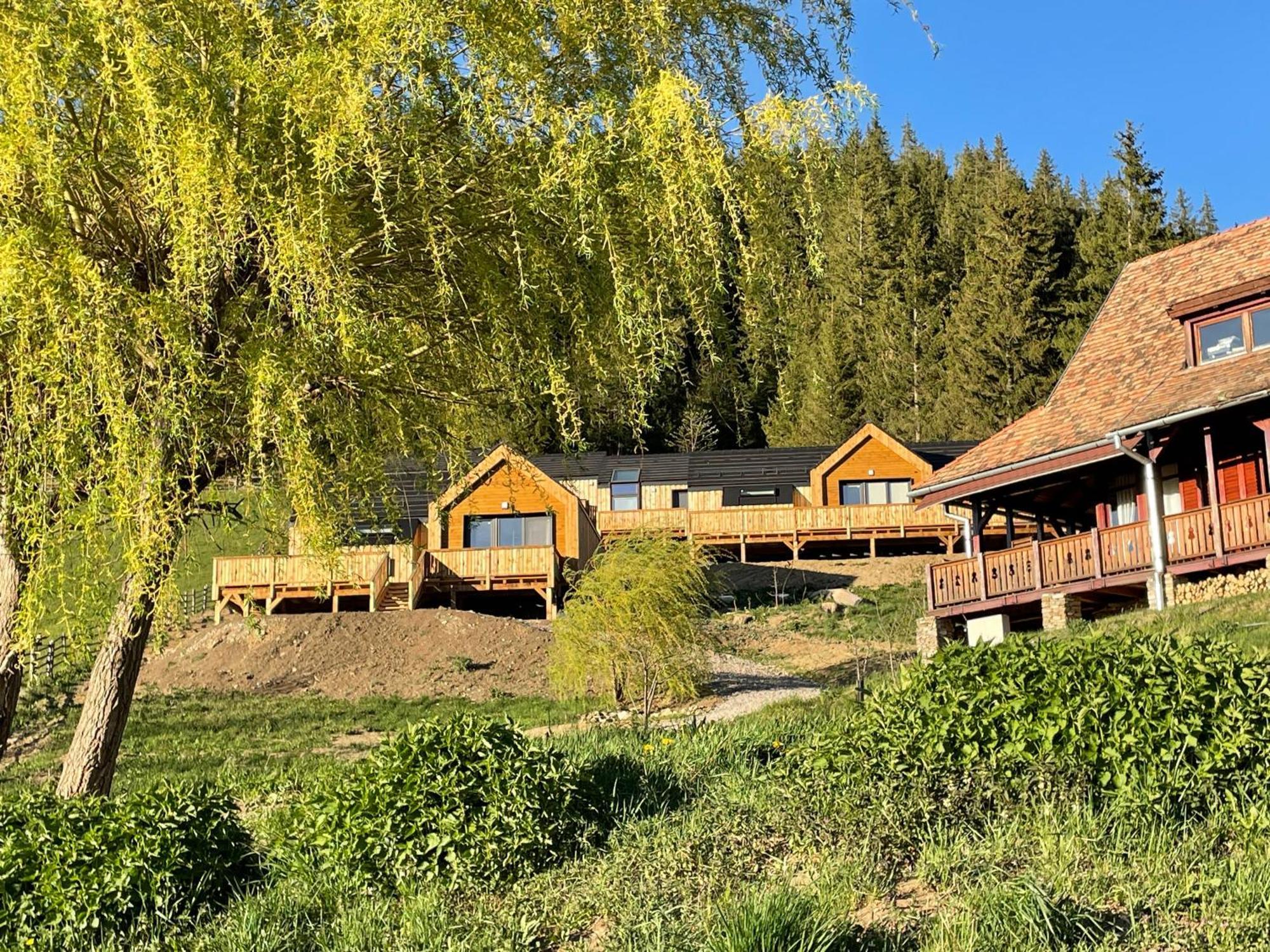Valea Boros Kaliba Cabins מראה חיצוני תמונה